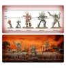 Battleforce - Sylvaneth – Strongroot Grove